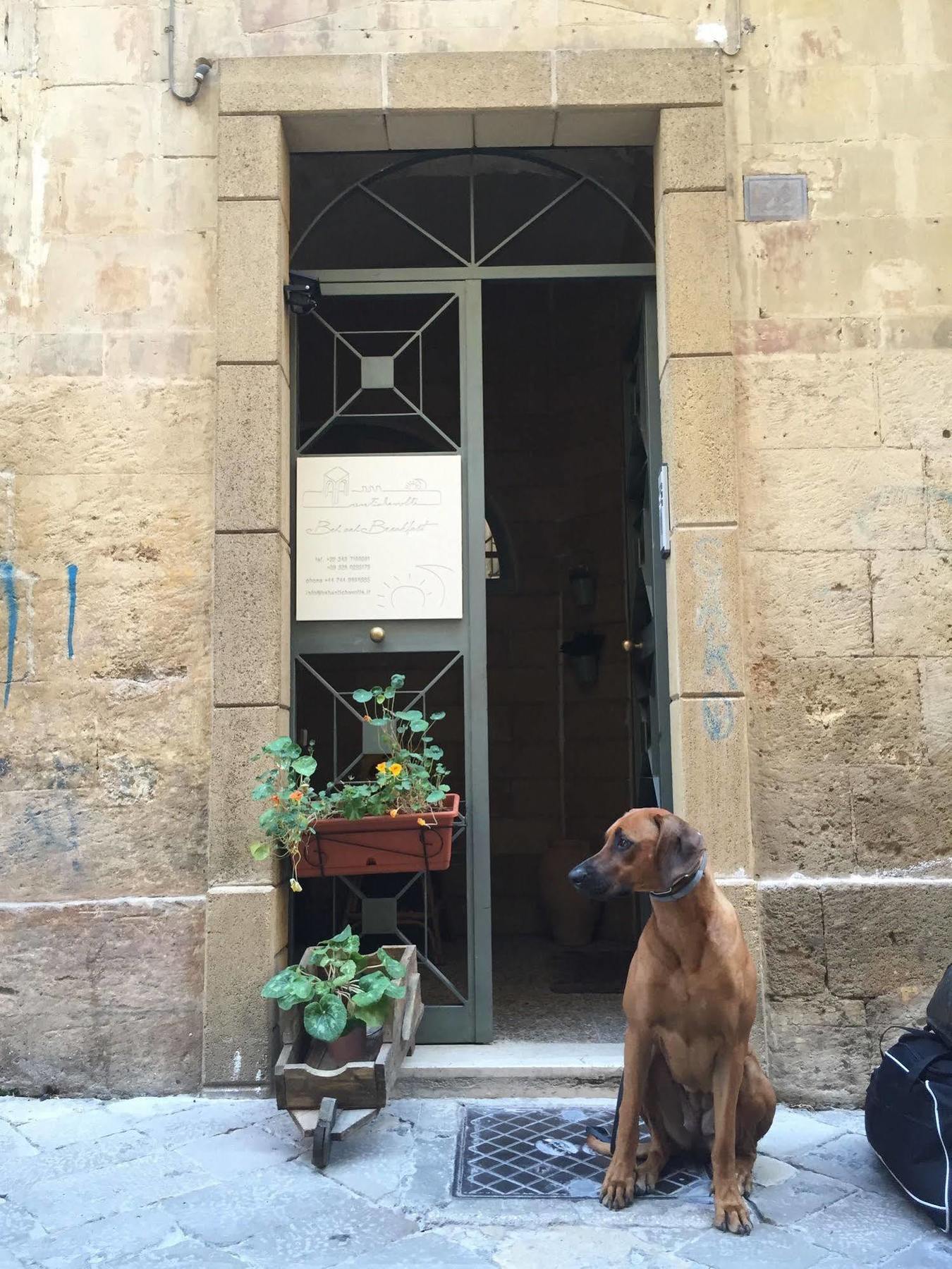 Antiche Volte Frühstückspension Lecce