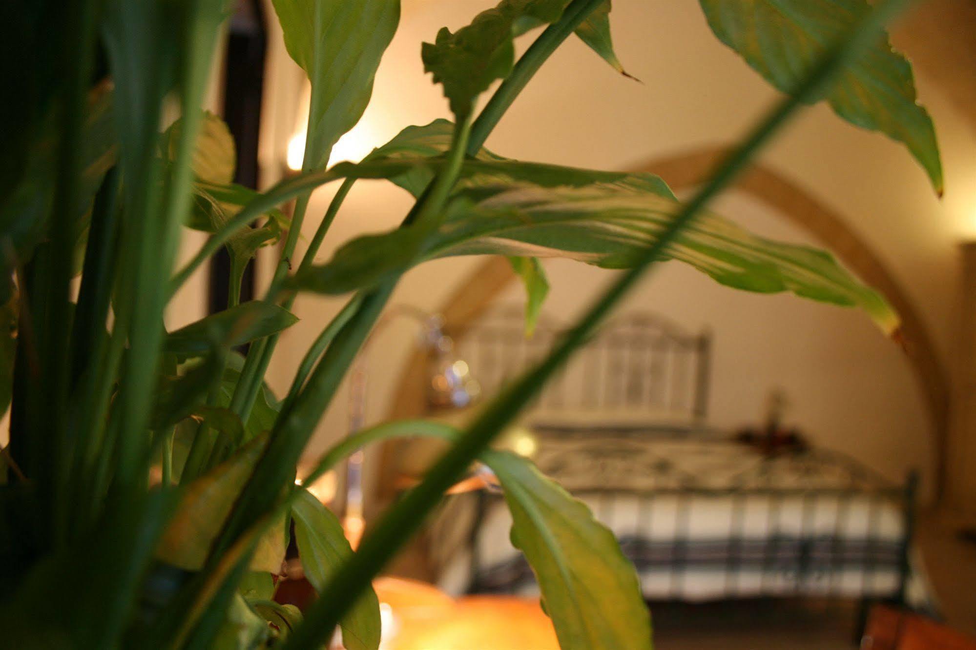 Bed & Breakfast Antiche Volte